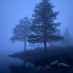 Solhytta Fantastisk Beliggenhet! Til Leie Pa Skrim! * Kongsberg