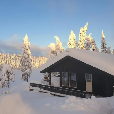 Solhytta Fantastisk Beliggenhet! Til Leie På Skrim! Feriehus *