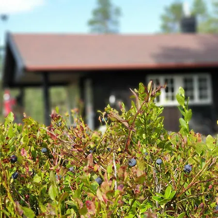 Feriehus Solhytta Fantastisk Beliggenhet! Til Leie På Skrim! Omholt