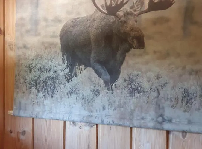 Solhytta Fantastisk Beliggenhet! Til Leie På Skrim! Feriehus *