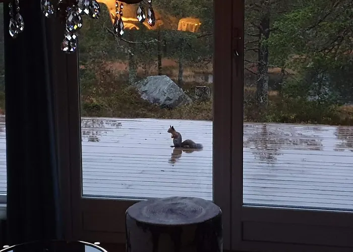 Solhytta Fantastisk Beliggenhet! Til Leie På Skrim! Feriehus Kongsberg