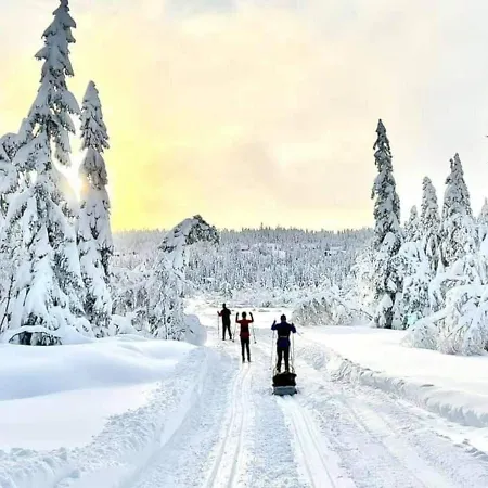 Vakantiehuis Solhytta Fantastisk Beliggenhet! Til Leie Pa Skrim! Kongsberg