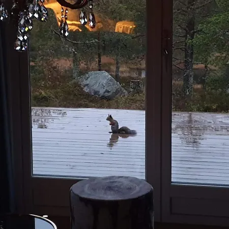 Solhytta Fantastisk Beliggenhet! Til Leie Pa Skrim! Vakantiehuis Kongsberg