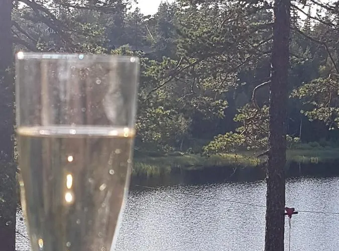 Solhytta Fantastisk Beliggenhet! Til Leie Pa Skrim! * Kongsberg