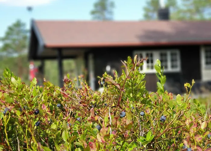 Casa de Férias Solhytta Fantastisk Beliggenhet! Til Leie Pa Skrim! Kongsberg