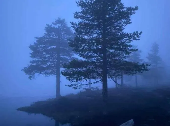 Solhytta Fantastisk Beliggenhet! Til Leie Pa Skrim! * Kongsberg