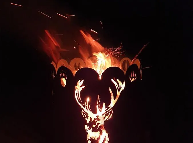 Solhytta Fantastisk Beliggenhet! Til Leie Pa Skrim! Kongsberg
