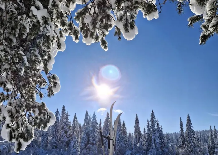 Solhytta Fantastisk Beliggenhet! Til Leie Pa Skrim! Casa de Férias Kongsberg